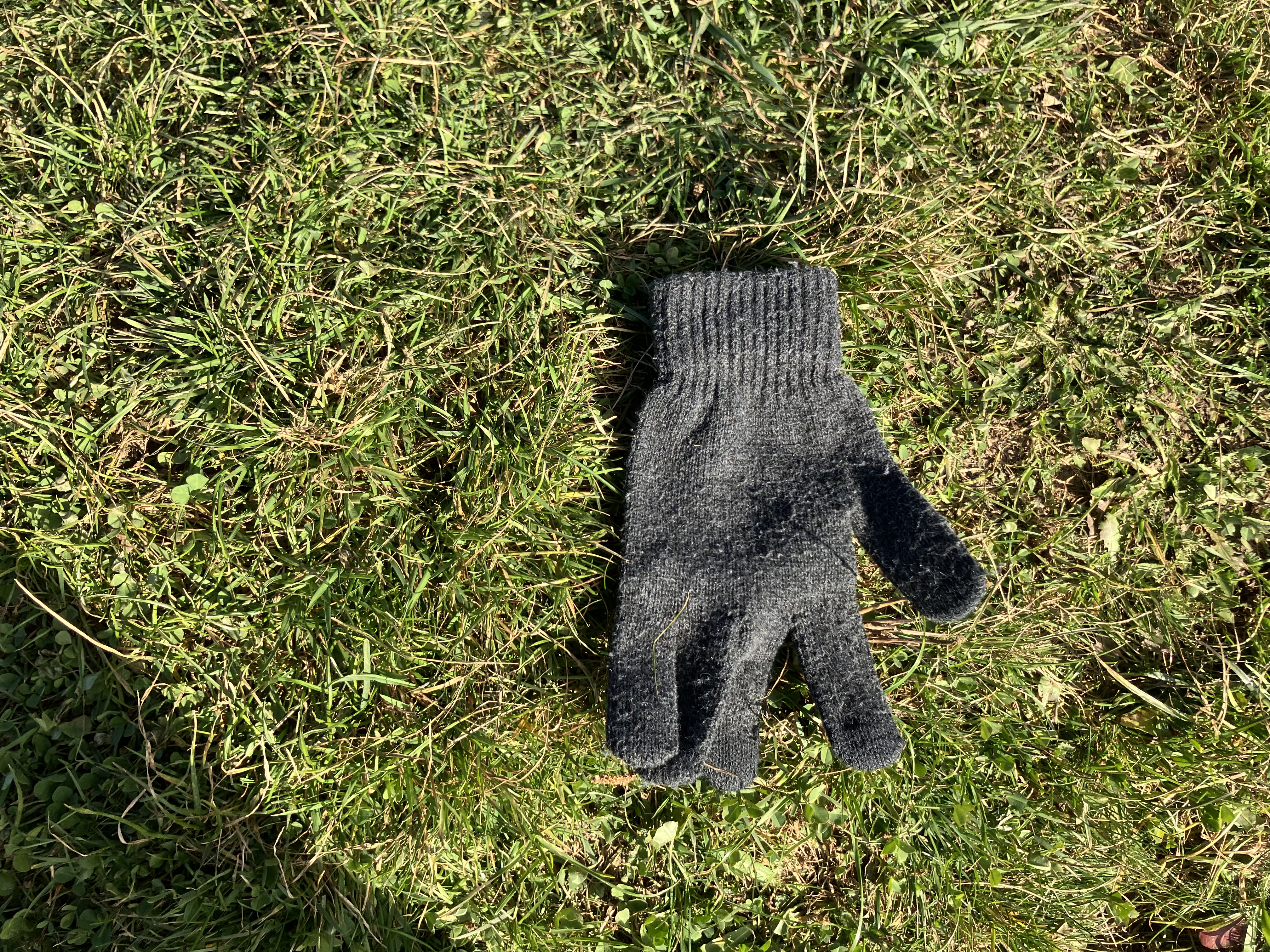 IMG 7493 YcNgNm